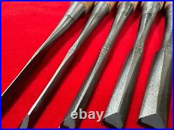 Japanese Chisel Tasai Polished Finish Dovetail chisel 10set custom-made