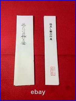 Japanese Chisel oire nomi Wakizasi Akio Tasai 27mm Mukume finish with ruler