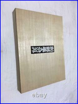 Japanese Chisels 10pcs Betsuatsurae Supplementary Professional Carpenter Tool