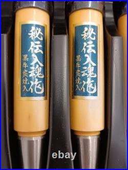 Japanese Custom Oire Nomi Chisel Set 10pcs Wooden Case Woodworking Tool Used #22