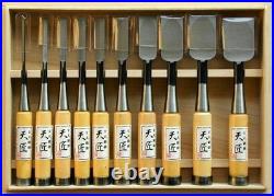 Japanese Nomi Chisel Tensho Oire Vintage Woodworking Tool Set of 10 Japan NEW