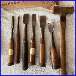 Japanese Nomi Chisel Vintage Old Retro Oire Tools Set of 10 Hummer F/S From JP