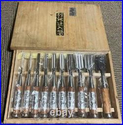 Japanese Nomi Chisel Vintage Old Retro Oire Tools Set of 10 Zuiryu