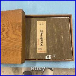 Japanese Nomi Chisel Vintage Old Retro Oire Tools Set of 10 in Box F/S From JP