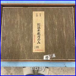 Japanese Nomi Chisel Vintage Old Retro Oire Tools Set of 10 in Box F/S From JP