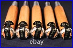 Japanese Nomi Chisel Vintage Old Retro Oire Tools Set of 5 Highest Quality