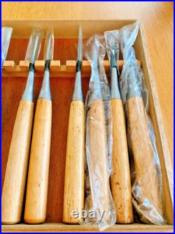 Japanese Nomi Chisel Vintage Old Retro Oire Tools Woodwork Set of 13 With Box