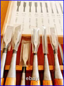 Japanese Nomi Chisel Vintage Old Retro Oire Tools Woodwork Set of 13 With Box