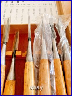 Japanese Nomi Chisel Vintage Old Retro Oire Tools Woodwork Set of 13 With Box