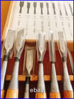 Japanese Nomi Chisel Vintage Old Retro Oire Tools Woodwork Set of 13 in Box