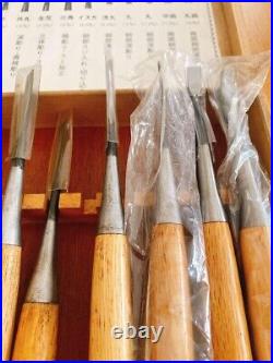 Japanese Nomi Chisel Vintage Old Retro Oire Tools Woodwork Set of 13 in Box