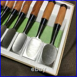 Japanese Nomi Oire Professional Set Chisel Woodworking Carving Furniture (F2235)