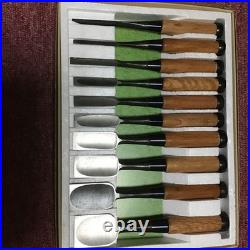 Japanese Oire Nomi 10pc Set Mixed Black Finish up to 42mm Woodworking Tools