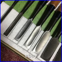 Japanese Oire Nomi 10pc Set Mixed Black Finish up to 42mm Woodworking Tools