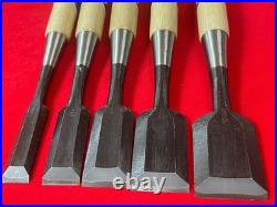 Japanese Oire Nomi Bench Chisel Musou-ken Set of 10 White Steel #2