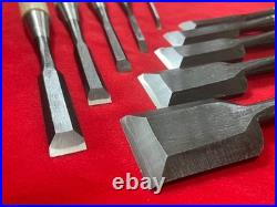 Japanese Oire Nomi Bench Chisel Musou-ken Set of 10 White Steel #2