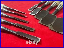 Japanese Oire Nomi Bench Chisel Musou-ken Set of 10 White Steel #2