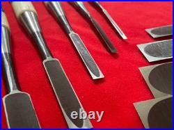 Japanese Oire Nomi Bench Chisel Musou-ken Set of 10 White Steel #2