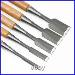 Japanese Oire Nomi Bench Chisel Set of 5 HSS Steel Red Oak Handle Wooden Box