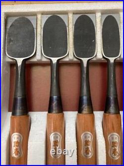 Japanese Oire Nomi Chisel Carpentry Wood Carving Hand Tool Box 10pcs Mizushina