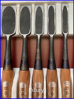 Japanese Oire Nomi Chisel Carpentry Wood Carving Hand Tool Box 10pcs Mizushina