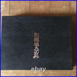 Japanese Oire Nomi Chisel Carpentry Wood Carving Hand Tool Set Katabun Mint Japanese Oire Nomi Chisel Carpentry Wood Carving Hand Tool Set Katabun Mint
