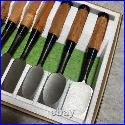 Japanese Oire Nomi Chisel Set 10pcs DIY Carpenter Woodworking Tool New JP #2810