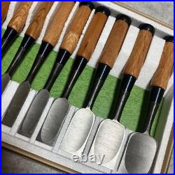 Japanese Oire Nomi Chisel Set 10pcs DIY Carpenter Woodworking Tool New JP #2810