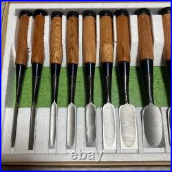 Japanese Oire Nomi Chisel Set 10pcs DIY Carpenter Woodworking Tool New JP #2810