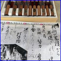 Japanese Oire Nomi Chisel Set of 10 Unused Wooden Handles Maker Labels with Box
