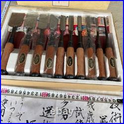 Japanese Oire Nomi Chisel Set of 10 Unused Wooden Handles Maker Labels with Box