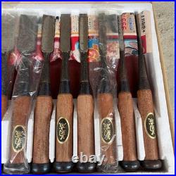 Japanese Oire Nomi Chisel Set of 10 Unused Wooden Handles Maker Labels with Box