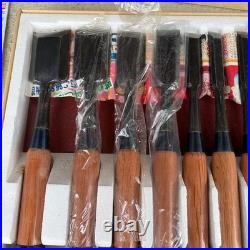Japanese Oire Nomi Chisel Set of 10 Unused Wooden Handles Maker Labels with Box