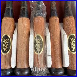 Japanese Oire Nomi Chisel Set of 10 Unused Wooden Handles Maker Labels with Box