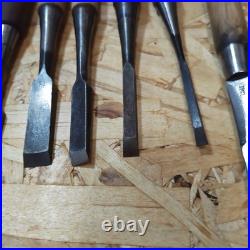 Japanese Oire Nomi Woodworking Chisel Set of 10 With Handmade Wood Case