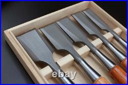 Japanese Tool Nomi Professional Chisel Set Carpenter 48,42,36,30,24mm WithTracking