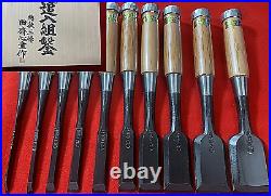 Japanese Wood Chisel Set bench chisel oire nomi Shin-do 10 Pairs Akio Tasai