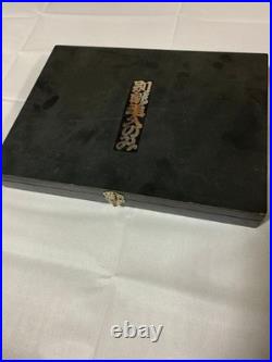 Japanese Woodworking Chisel Set 10pcs Oire Nomi Specialized Thin Blade with Box