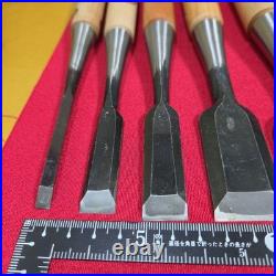 Japanese Woodworking Chisel Set 5 Pcs Oire Nomi Gen Nobuhiro Takahiro Unused NOS Japanese Woodworking Chisel Set 5 Pcs Oire Nomi Gen Nobuhiro Takahiro Unused NOS