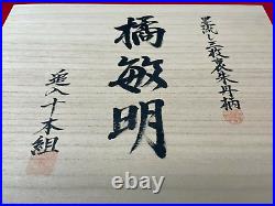 Japanese chisel Oire nomi 10 Set (Mokume) Hanyu Yasushi Rose wood handle