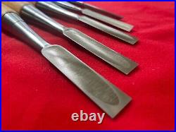 Japanese chisel Oire nomi Sukemaru HSS 10p Set Wood working tool made by Usui