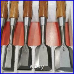 Japanese chisel Set of 10 oire nomi Handle red oak Shinku Juho NEW