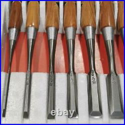 Japanese chisel Set of 10 oire nomi Handle red oak Shinku Juho NEW