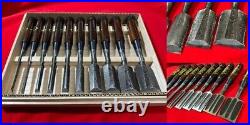 Japanese chisel Shinogi tsubushi 10 Set (Mokume) Hanyu Yasushi Rose wood