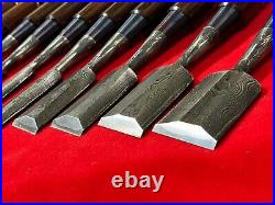 Japanese chisel Shinogi tsubushi 10 Set (Mokume) Hanyu Yasushi Rose wood