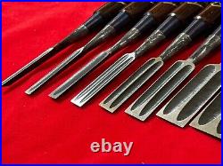 Japanese chisel Shinogi tsubushi 10 Set (Mokume) Hanyu Yasushi Rose wood