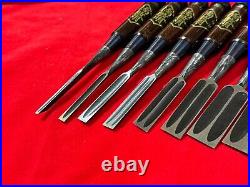 Japanese chisel Shinogi tsubushi 10 Set (Mokume) Hanyu Yasushi Rose wood