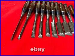 Japanese chisel Shinogi tsubushi 10 Set (Mokume) Hanyu Yasushi Rose wood