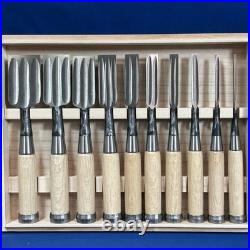 Jinsaku Suminagashi Oire Nomi Japanese Bench Chisel Aogami #1 Multi Hollows Ura