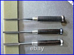 Keiju Oire Nomi Japanese Bench Chisel Nagaoke Keizaburo 3mm 6mm 9mm Set of 3